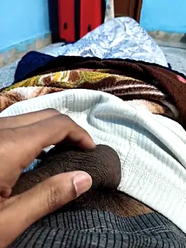 PatelMirzapur online show from 4, 2, 2026