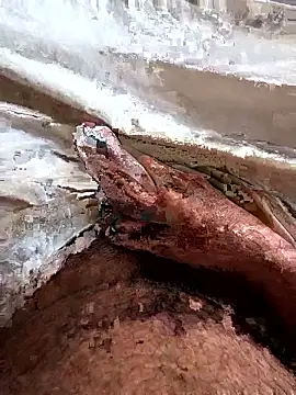 Snapshot of manish_8826 chatting on 6, 4, 2026 manish 8826 online show from 6, 4, 2026