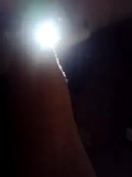 javi431 online show from 8, 2, 2026