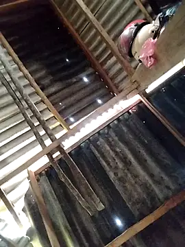 Yiyoongg online show from 6, 3, 2026