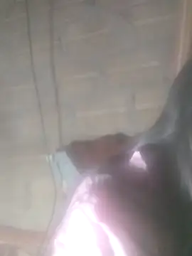 Yang-my- online show from 13, 2, 2026