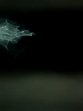 maharashtra boy mh19 online show from 18, 3, 2026