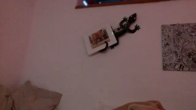 31VyV30 online show from 8, 2, 2026