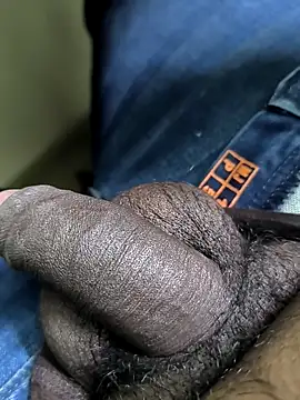 Tamil Bulll online show from 8, 2, 2026