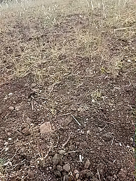 yusu 3 online show from 23, 2, 2026