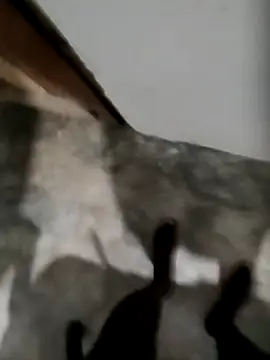 nisal 56 online show from 9, 2, 2026