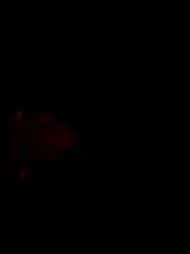 Snapshot of Bangalore_7inch chatting on 14, 2, 2026 Bangalore 7inch online show from 14, 2, 2026