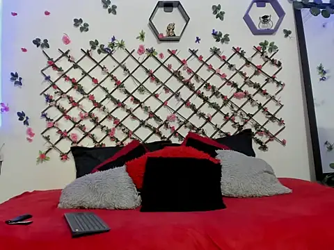 hot girls3 online show from 16, 2, 2026