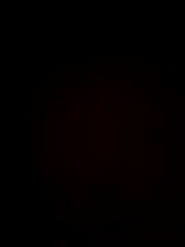 Snapshot of plump-bums chatting on 16, 2, 2026 plump-bums online show from 16, 2, 2026