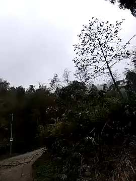 lovely-742 online show from 24, 3, 2026