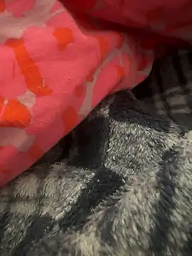 Snapshot of gbox123 chatting on 11, 2, 2026 gbox123 online show from 11, 2, 2026