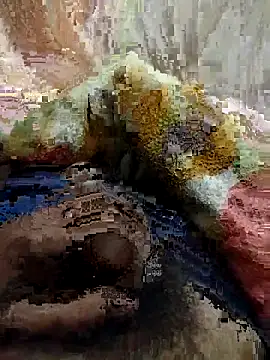 soni8850 online show from 15, 2, 2026