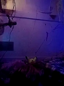 issyamazin online show from 8, 4, 2026