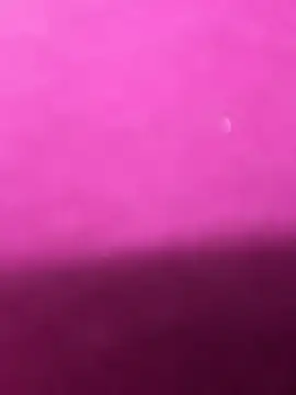 Anya Volker online show from 2, 4, 2026