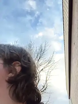 plushietoy online show from 5, 3, 2026