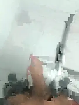 oNovinhoDoPirocao online show from 15, 2, 2026