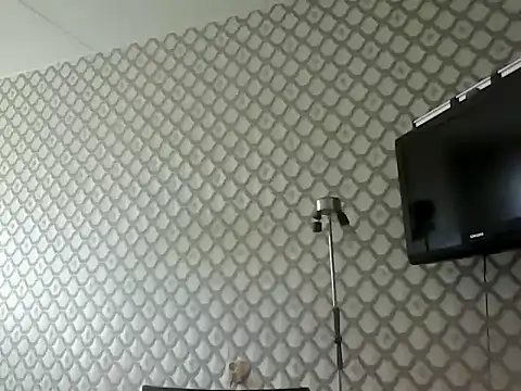 Rob1874 online show from 2, 4, 2026