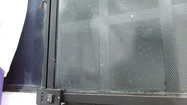 Miss Ariel online show from 19, 2, 2026