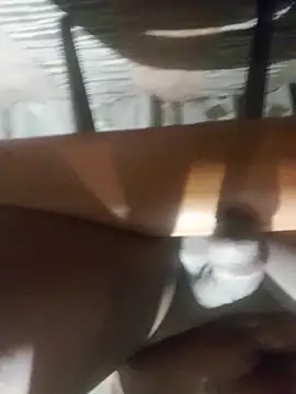 Snapshot of Cookiesucker2025 chatting on 15, 3, 2026 Cookiesucker2025 online show from 15, 3, 2026