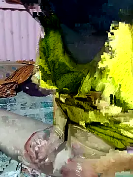 mimpake online show from 2, 4, 2026