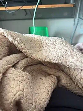 Snapshot of D4n13l47 chatting on 4, 3, 2026 D4n13l47 online show from 4, 3, 2026