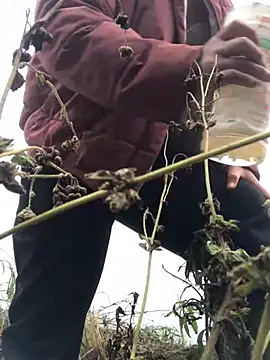 Snapshot of Nth5h chatting on 11, 3, 2026 Nth5h online show from 11, 3, 2026