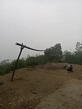 Snapshot of Nth5h chatting on 30, 3, 2026 Nth5h online show from 30, 3, 2026