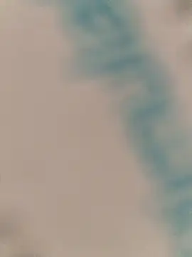 rachu69 online show from 18, 2, 2026