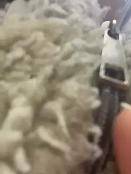 Snapshot of angell_cooper8 chatting on 22, 3, 2026 angell cooper8 online show from 22, 3, 2026