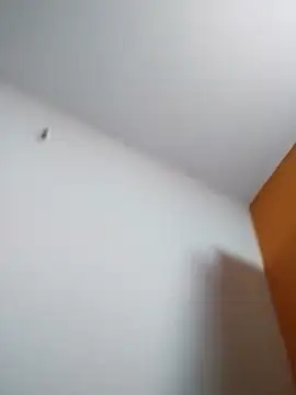 rohgay online show from 19, 2, 2026