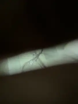 Snapshot of neekosam12 chatting on 23, 3, 2026 neekosam12 online show from 23, 3, 2026