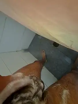 Snapshot of Edu235 chatting on 29, 3, 2026 Edu235 online show from 29, 3, 2026