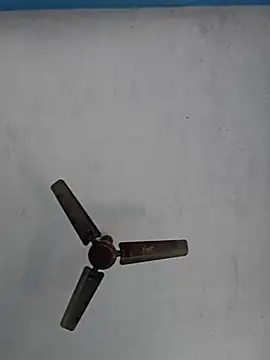 67sanju online show from 28, 2, 2026