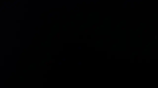 artemisa aly online show from 8, 4, 2026