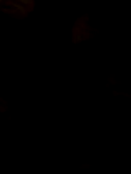 1234aminee online show from 1, 3, 2026