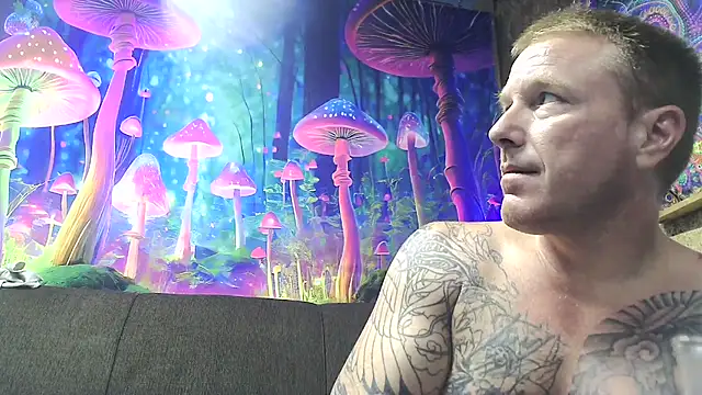 drednasty online show from 24, 3, 2026