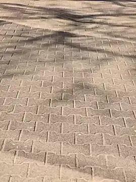 Snapshot of MarekPublicShow chatting on 6, 3, 2026 MarekPublicShow online show from 6, 3, 2026