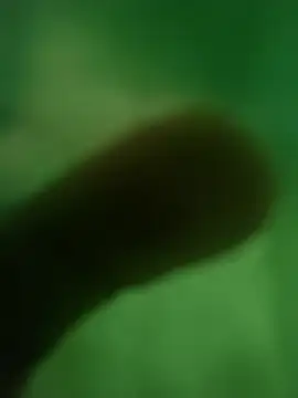 Snapshot of ffgffefgg chatting on 12, 3, 2026 ffgffefgg online show from 12, 3, 2026