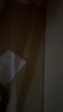 LocalToka online show from 23, 3, 2026