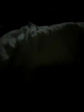 tundrata online show from 20, 3, 2026