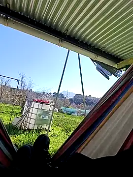 freedick93 online show from 17, 3, 2026