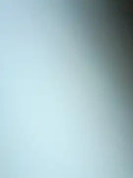 Snapshot of bojo888 chatting on 19, 3, 2026 bojo888 online show from 19, 3, 2026