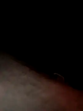 dannyboy8in online show from 24, 3, 2026