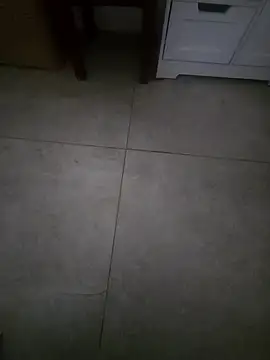 Anastasia pubblico online show from 30, 3, 2026