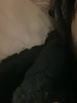 Snapshot of BBCboy365 chatting on 12, 4, 2026 BBCboy365 online show from 12, 4, 2026