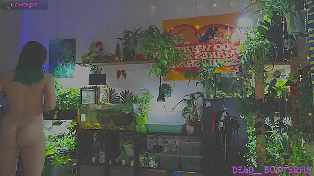 Dead Butterfly online show from 12, 1, 2025