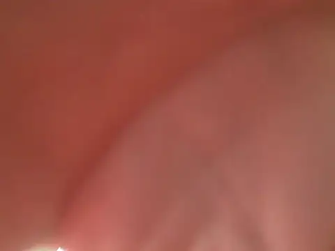 el principe hot online show from 11, 11, 2025