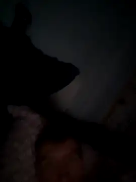 SexyMan2020ka online show from 9, 10, 2025