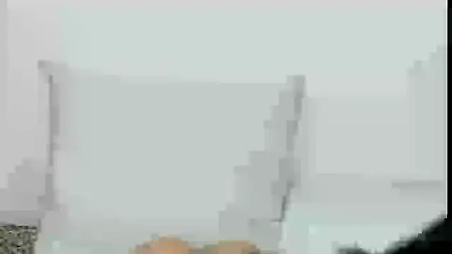 Snapshot of lorenfram chatting on 8, 1, 2025 lorenfram online show from 8, 1, 2025