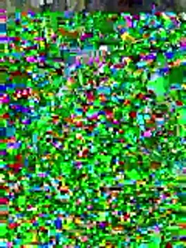 Snapshot of sissyvee chatting on 15, 1, 2026 sissyvee online show from 15, 1, 2026